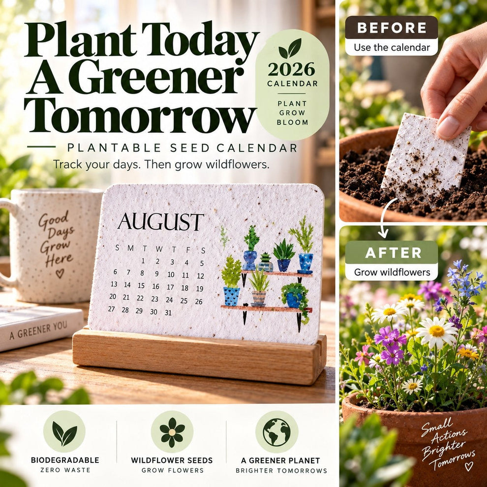 ✨🏆Early Holiday Sale 50% OFF 🌱Eco-Friendly Plantable “Timeless” Seed Calendar 2027