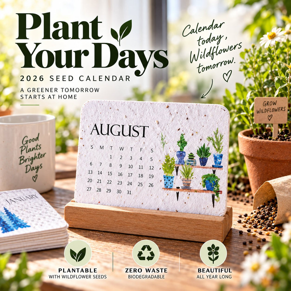 ✨🏆Early Holiday Sale 50% OFF 🌱Eco-Friendly Plantable “Timeless” Seed Calendar 2027