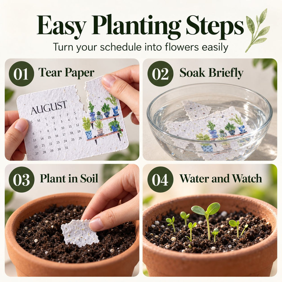 ✨🏆Early Holiday Sale 50% OFF 🌱Eco-Friendly Plantable “Timeless” Seed Calendar 2027