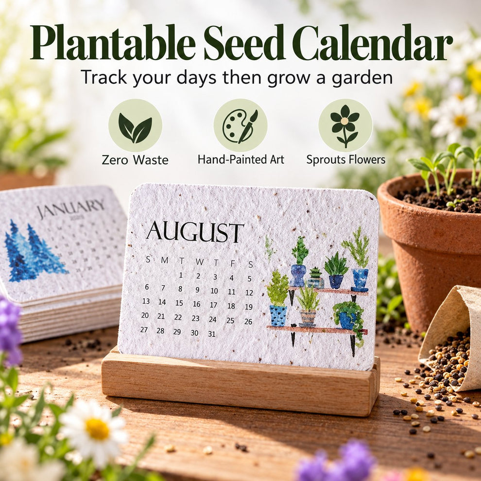 ✨🏆Early Holiday Sale 50% OFF 🌱Eco-Friendly Plantable “Timeless” Seed Calendar 2027