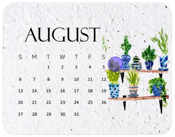 ✨🏆Early Holiday Sale 50% OFF 🌱Eco-Friendly Plantable “Timeless” Seed Calendar 2027